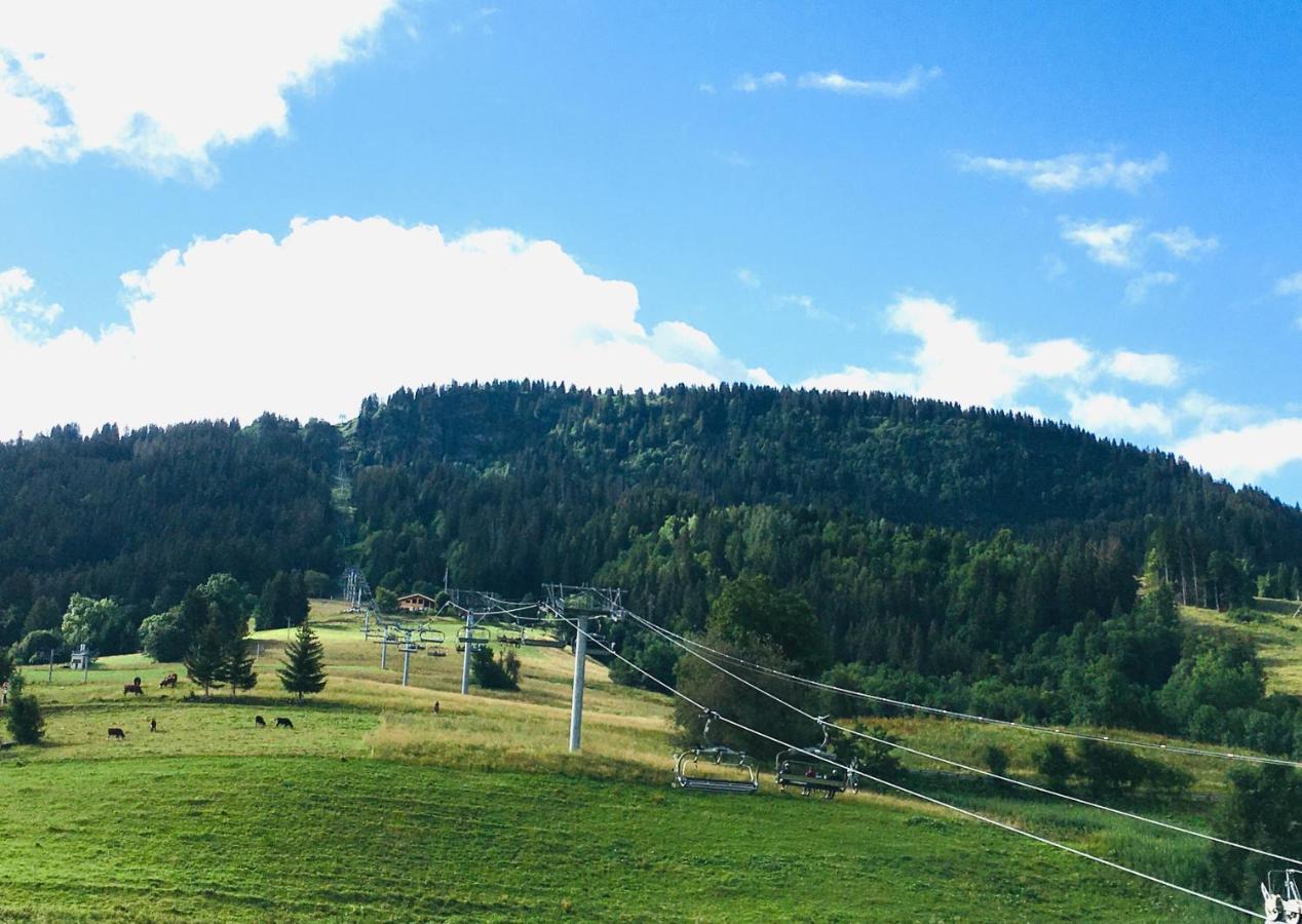 Apartamento Le Nantoran Praz-sur-Arly Exterior foto